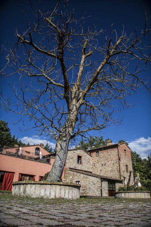 Agriturismo Casa Volaterra Вольтерра Экстерьер фото